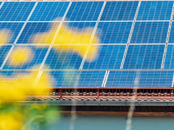 Campo Colza Amarilla Borrosa Plena Floración Paneles Solares Contra Cielo — Foto de Stock