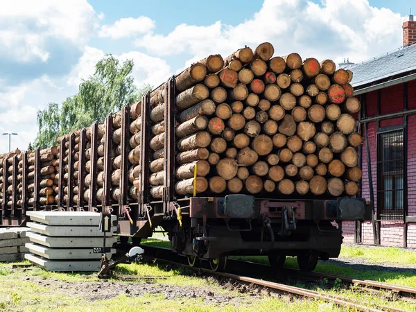 Timber transport by trail by railways. The train car stands in a depot near the switch.