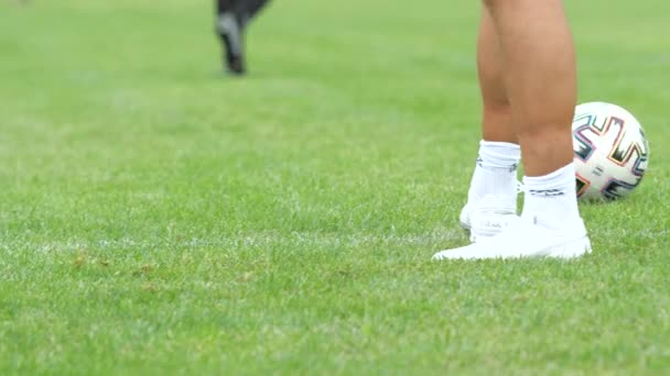 Piernas Mediana Edad Excitado Hombre Pateando Pelota Césped Aire Libre — Vídeos de Stock