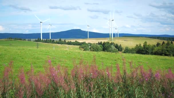 Turbinas Eólicas Para Energía Renovable Paisaje Natural Con Cerro Bosque — Vídeo de stock