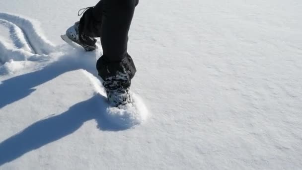 Patinador Hockey Muestra Mientras Monta Nieve Profunda Esponjosa Lago Montaña — Vídeo de stock