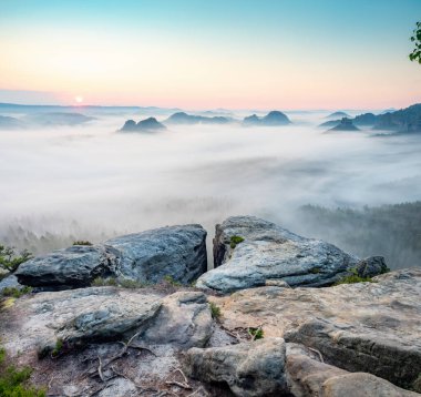 Renkli sisli bir sabah. Yağmurlu geceden sonra şafak vakti içindeki manzara filtrelenmiş resim işlenmiş vintage efekti.