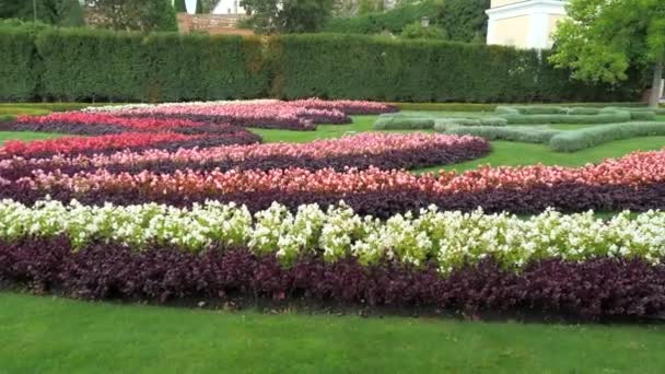 城の庭の素晴らしい色 ミクロフ城の概要 — ストック動画
