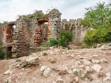 13. yüzyıldan kalma savunma kalesi beyaz kireçtaşından yapılmış. Mikulov bölgesindeki Devicky kalesi. Güney Moravya, Çek