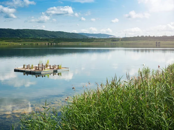 Λίμνη Milada Και Ενίσχυση Φωλιάς Για Άγρια Πτηνά Αναζωογόνηση Της — Φωτογραφία Αρχείου
