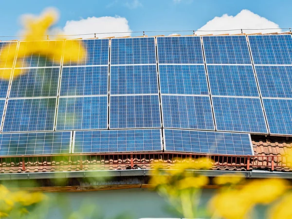 Kilátás Mezőgazdaságban Repce Mező Kék Napelem Fotovoltaikus Panelek Tetőn Naplementekor — Stock Fotó