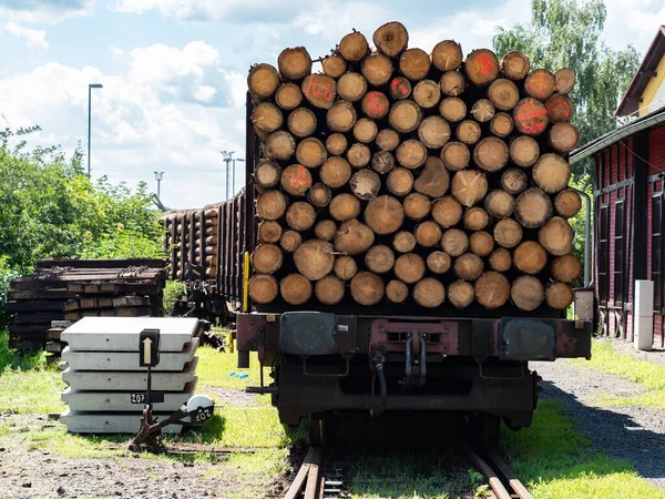 Timber transport by trail by railways. The train car stands in a depot near the switch.