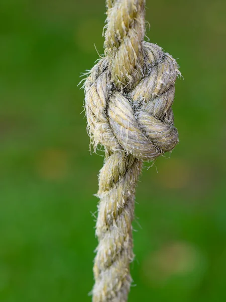 Touwring Knoop Aan Houten Balk Bomen Wazige Ondergrond — Stockfoto