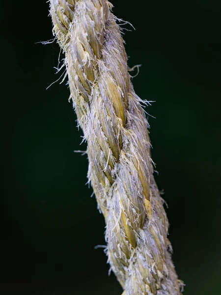 Close Van Gevlochten Strengen Van Een Touw Van Natuurlijke Materialen — Stockfoto