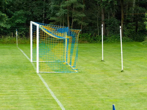 用绿色草皮训练足球场 有目标和标志或边线的足球场 — 图库照片