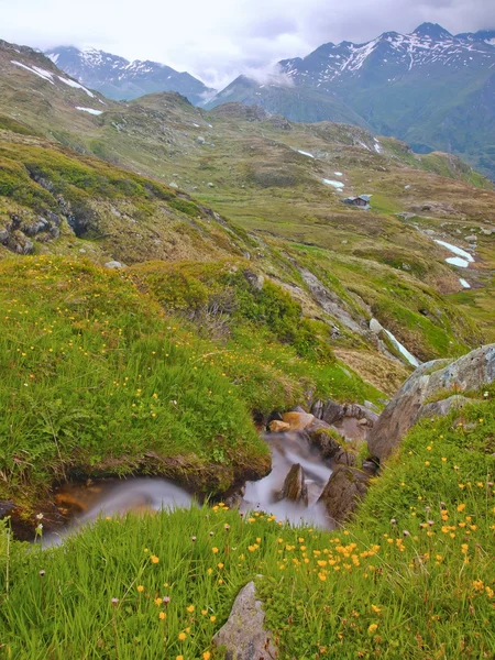 Rapids on mountain stream in spring meadow of Alps. Cold misty and rainy weather. — Stock Photo, Image