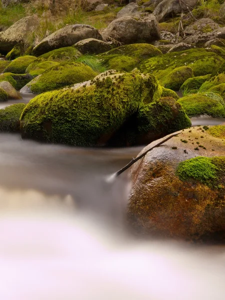 Stora stenblock i skummande vatten berg floden i skogen. lätt suddiga vatten med reflektioner. — Stockfoto