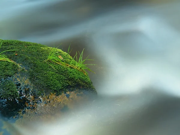 Stone jammed in the mountain river with wet mossy carpet and grass leaves. Fresh colors of grass, deep green color of wet moss and blue milky water below stone. — Stock Photo, Image