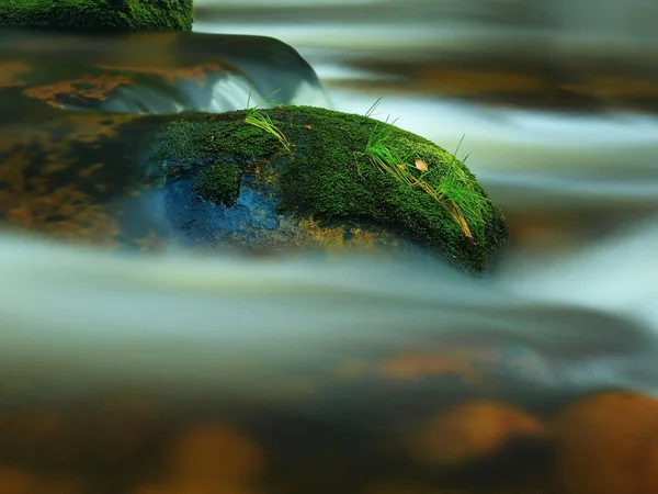 Pedra encravada no rio da montanha com tapete musgoso molhado e folhas de grama. Cores frescas de grama, cor verde profundo de musgo molhado e água leitosa azul abaixo da pedra . — Fotografia de Stock
