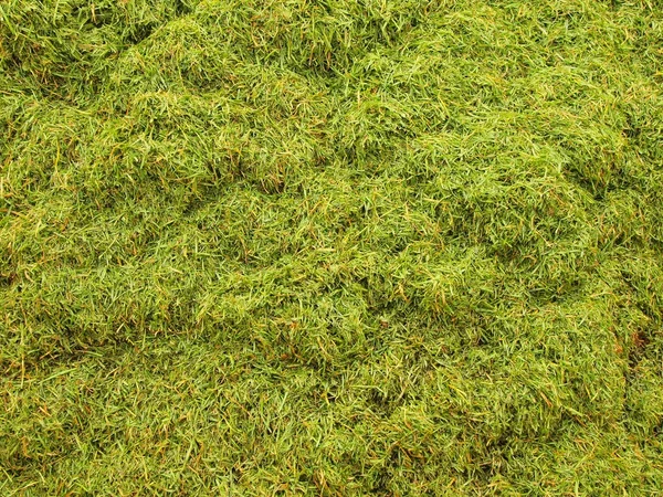 Decay harvested grass in big green smell mound in corner of garden. — Stock Photo, Image