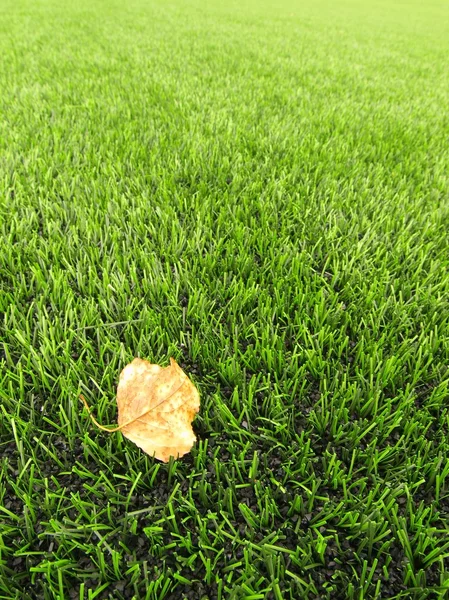 Vista de cerca del campo de césped artificial en el patio de fútbol. Detalle de una línea en un campo de fútbol, hoja de abedul amarillo. Hierba plástica y caucho negro finamente molido . —  Fotos de Stock