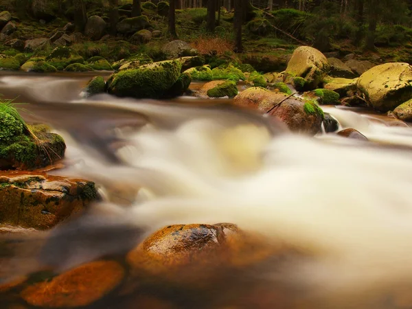 Gros rochers dans l'eau mousseuse de la rivière de montagne dans la forêt. Eau trouble légère avec reflets . — Photo