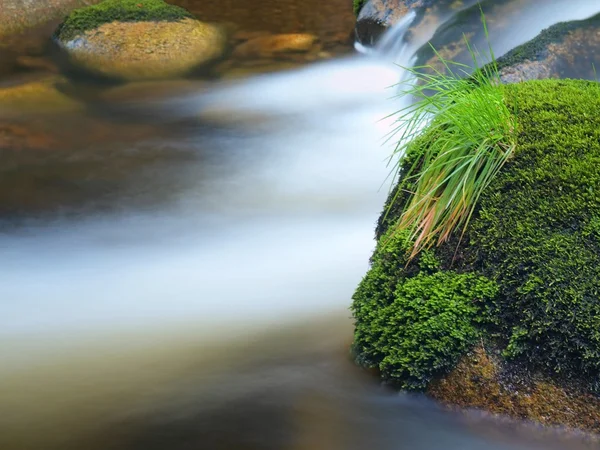 Big boulders in foamy water of mountain river in forest. Light blurred water with reflections. — Stock Photo, Image