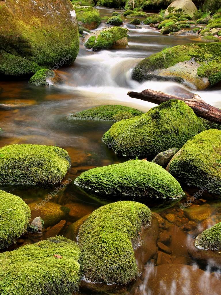 Moss Rocks by M E Cater