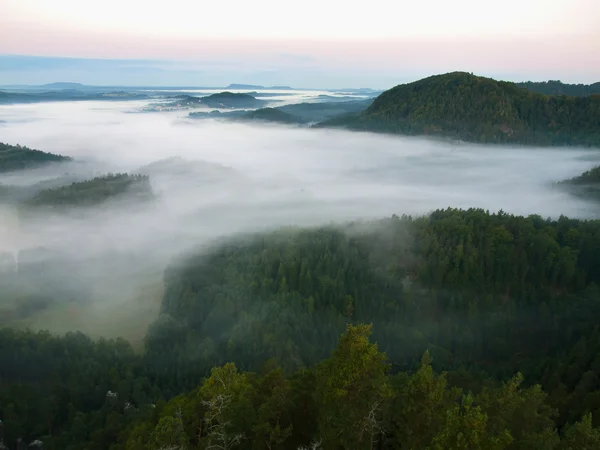 Cerro rocoso sobre bosque de la muerte y valle brumoso. La niebla se mueve entre colinas y picos de árboles, cielo azul . —  Fotos de Stock