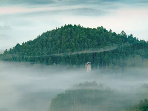 秋の霧でいっぱい谷。謎の肌寒い朝、霧が揺れている暗い丘と木下. — ストック写真