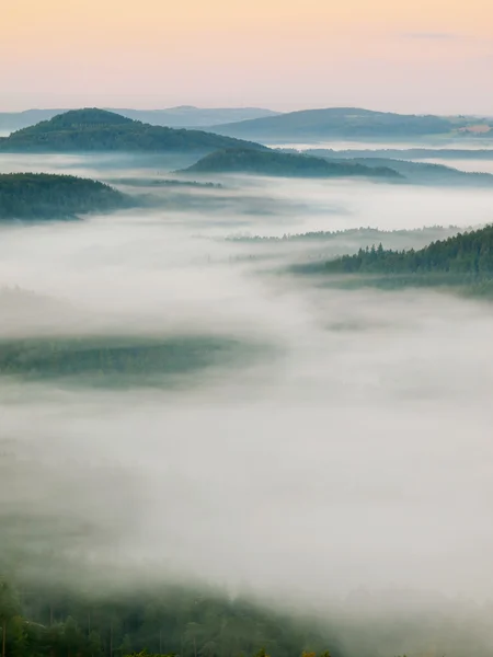 朦胧的秋景。梦幻般的氛围，雾峰山之间震动。寒冷如梦似幻的秋天的早晨在波希米亚瑞士公园. — 图库照片