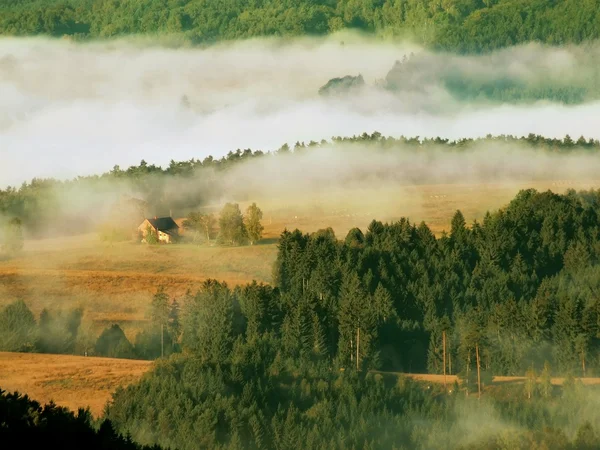 Alba autunnale soleggiata in una bellissima montagna del parco della Svizzera ceco-sassone. I raggi di sole caldi combattono a nebbia di terra fredda in valle . — Foto Stock