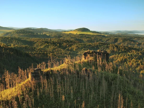 Sunny autumn sunrise in a beautiful mountain of Czech-Saxony Switzerland park. Warm sun rays fight to cold ground mist in valley. — Stock Photo, Image