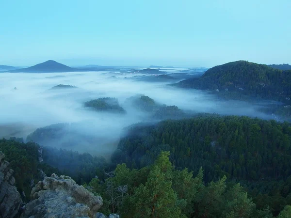 kayalık tepenin ölüm ormanı ve sisli vadinin yukarıda. sis tepeler ve ağaçlar, mavi gökyüzü doruklarına arasında hareket ediyor.