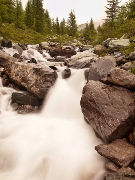 Lecho empinado y pedregoso del arroyo alpino. Ondas borrosas de arroyo que corren sobre rocas y piedras, alto nivel de agua después de fuertes lluvias . — Foto de Stock