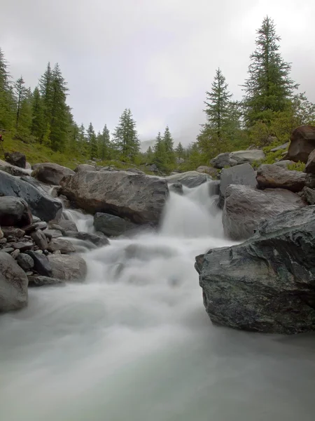 Corriente rápida empinada de río alpino espumoso. Ondas blancas de arroyo que fluyen sobre rocas y piedras, alto nivel de agua después de fuertes lluvias . — Foto de Stock