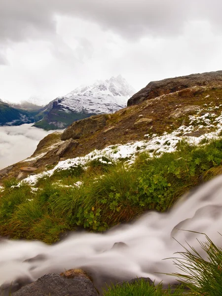 Första snön i Alperna turistiska området. färsk grön äng med rapids ström. topparna i Alperna bergen i bakgrunden. skummande vatten kör över toffel stenar i snöiga grön äng. — Stockfoto