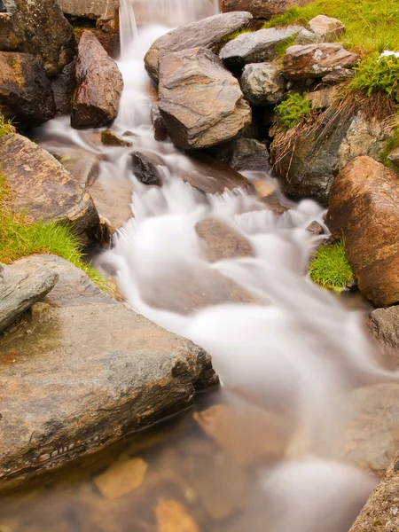 Steinigen Gebirgsbach in alpinen Hügel. nebliges und regnerisches Wetter, frische Farbe von Kräutern und Blumen. Hausschuh große Steine am Ufer. — Stockfoto
