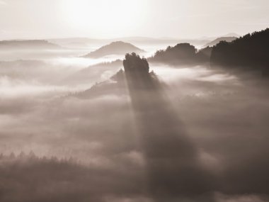 rüya gibi puslu manzara. Majestic mountain aydınlatma sis kesti. derin vadi Derma sis dolu ve kayalık hills güneşe savunuyorsun. muhteşem bir sonbahar sabahı.