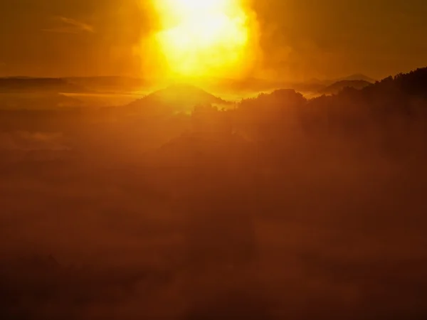 Skalisty kanion pełen złote mgła i gorące słońce jest świecą nad horyzontem. głębokiego lasu pod pokrywą. — Zdjęcie stockowe