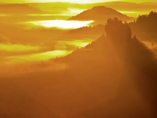 Rocky gulch full of golden fog and hot Sun is shinning above horizon. Deep forest under cover. — Stock Photo, Image