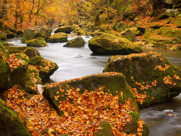 Autumn colors at mountain river banks. — Stock Photo, Image