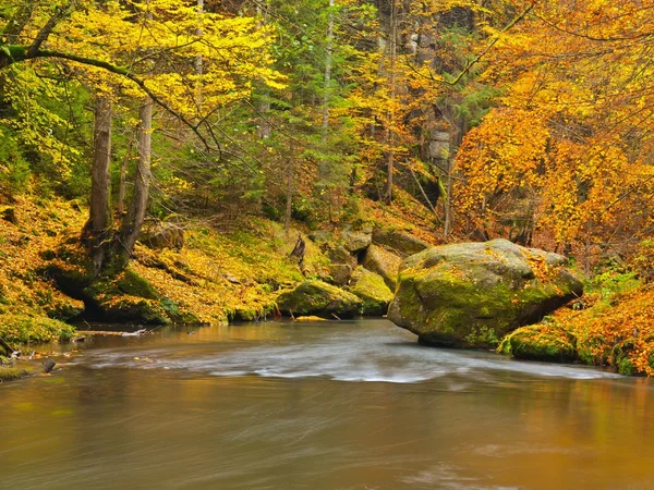 Couleurs automnales sur les rives des rivières de montagne . — Photo