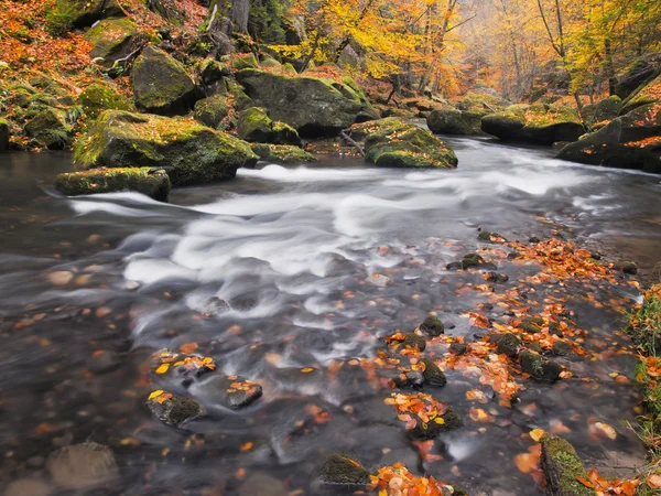 Herbstfarben an den Ufern der Gebirgsflüsse. frische grüne moosbewachsene Felsbrocken am Flussufer, übersät mit leuchtenden Farben. — Stockfoto