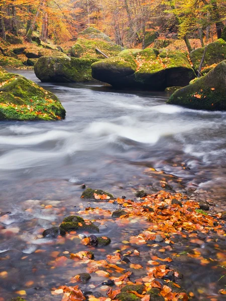 Colores otoñales en las orillas de los ríos . —  Fotos de Stock