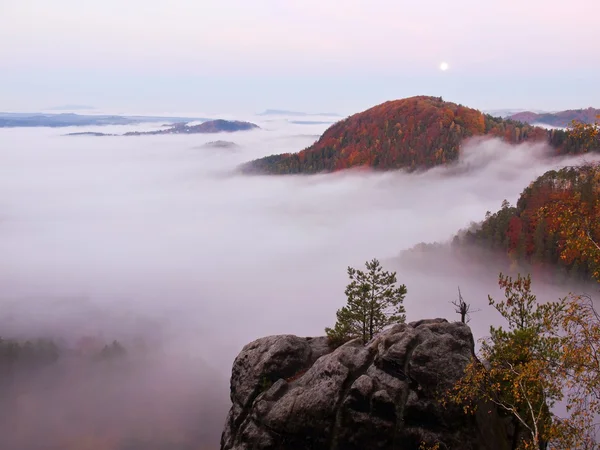 Pełnia księżyca nocy z sunrise w pięknej górskiej. kolorowe wzgórza jesień wzrosły od ciężkich mgła. — Zdjęcie stockowe