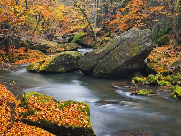 Couleurs automnales sur les rives des rivières de montagne . — Photo