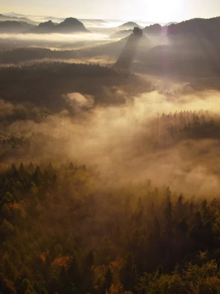 inanılmaz sisli sonbahar manzara. derin vadi renkli sis dolu ve kayalık hills güneşe savunuyorsun. Altın gölgelerin sabah muhteşem sonbahar.