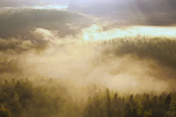 Misty autumn land in colorful shadows. Rocky gulch full of golden fog and hot Sun is shinning above horizon. Deep forest under cover. — Stock Photo, Image