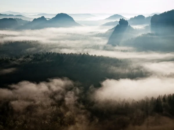 Ongelooflijke mistige herfst landschap. diepe vallei zit vol met kleurrijke mist en rotsachtige heuvels zijn steken aan zon. prachtige herfst ochtend in gouden schaduw. — Stockfoto
