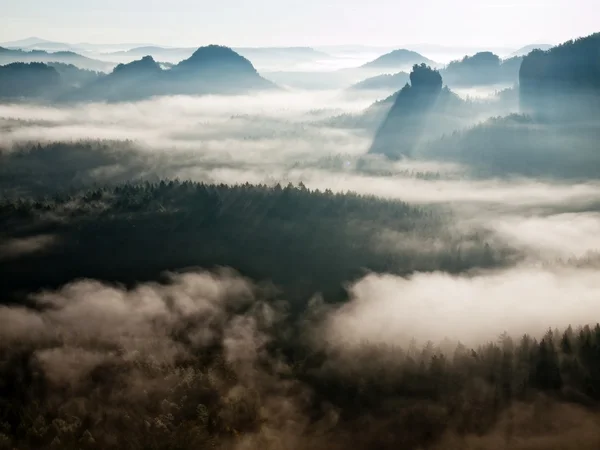 Incrível paisagem de outono enevoado. Vale profundo está cheio de nevoeiro colorido e colinas rochosas estão aderindo ao sol. Magnífica manhã de outono em sombras douradas . — Fotografia de Stock