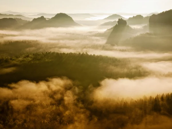 Nebliger Herbst landet in bunten Schatten. Felsige Schlucht voller goldenem Nebel und heißer Sonne scheint über dem Horizont. tiefer Wald unter der Decke. — Stockfoto