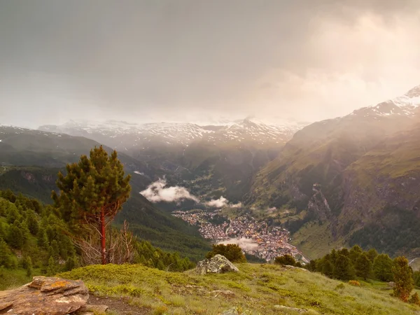 Verse groene weide en nevelige pieken van de Alpen bergen in de achtergrond. — Stockfoto