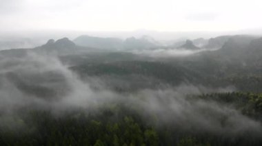 puslu, melankolik bir sabah. Huş ağacı derin vadiye ağır sis tam üzerinde görüntüleyin. Yağmurlu geceden sonra daybreak içinde sonbahar manzarası.