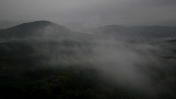 ザクセン スイス公園の秋の谷に冷たい霧の夜。マジカルな暗闇から増加の丘. — ストック動画